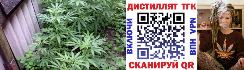 Купить закладки  Псков  Дистиллят ТГК THC oil 